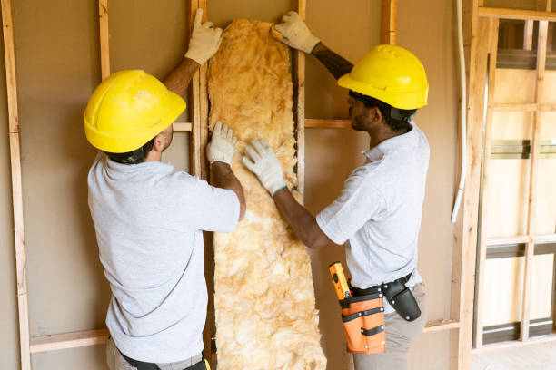 Best Garage Insulation Installation  in Kirby, TX